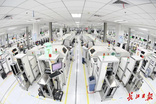 智造大城新標桿 解碼武漢智能工廠的“智高點”——紙制品制造業(yè)的轉型之路